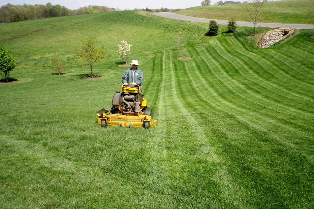 man on yellow riding mower cutting stripes in grass in northern virginia