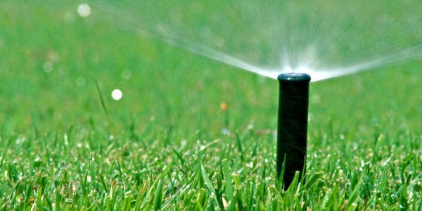 sprinkler running in the grass landscape watering