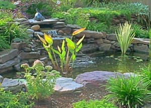 stone pond water feature design build in northern virginia