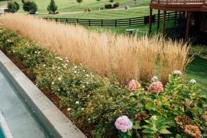 Weed control Great Falls and Northern Virginia landscaping