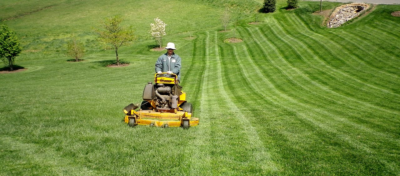 Lawn maintenance in Great Falls, Virginia