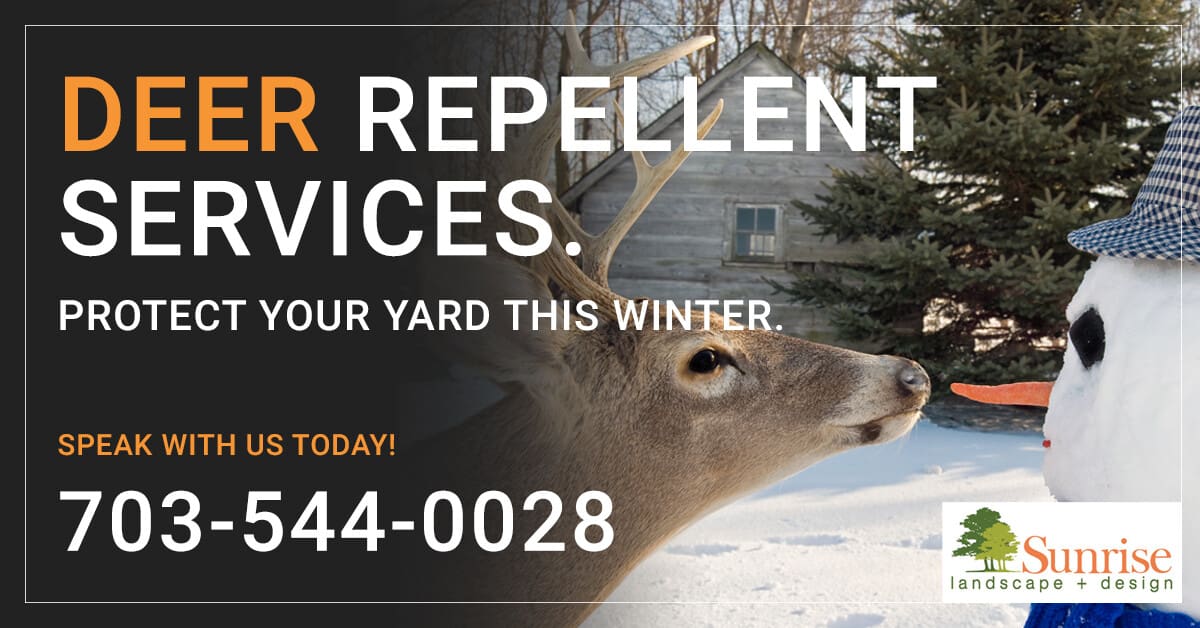 Deer repellent services in northern virginia